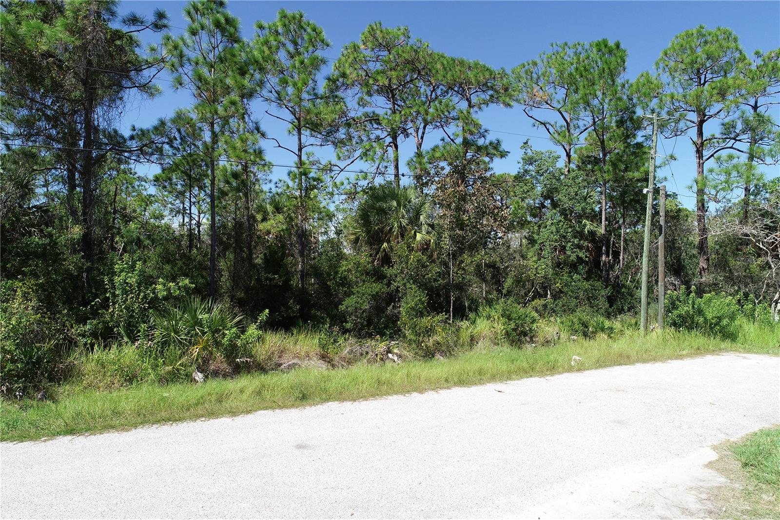 Image 15 of 20 For 34 Shark Street