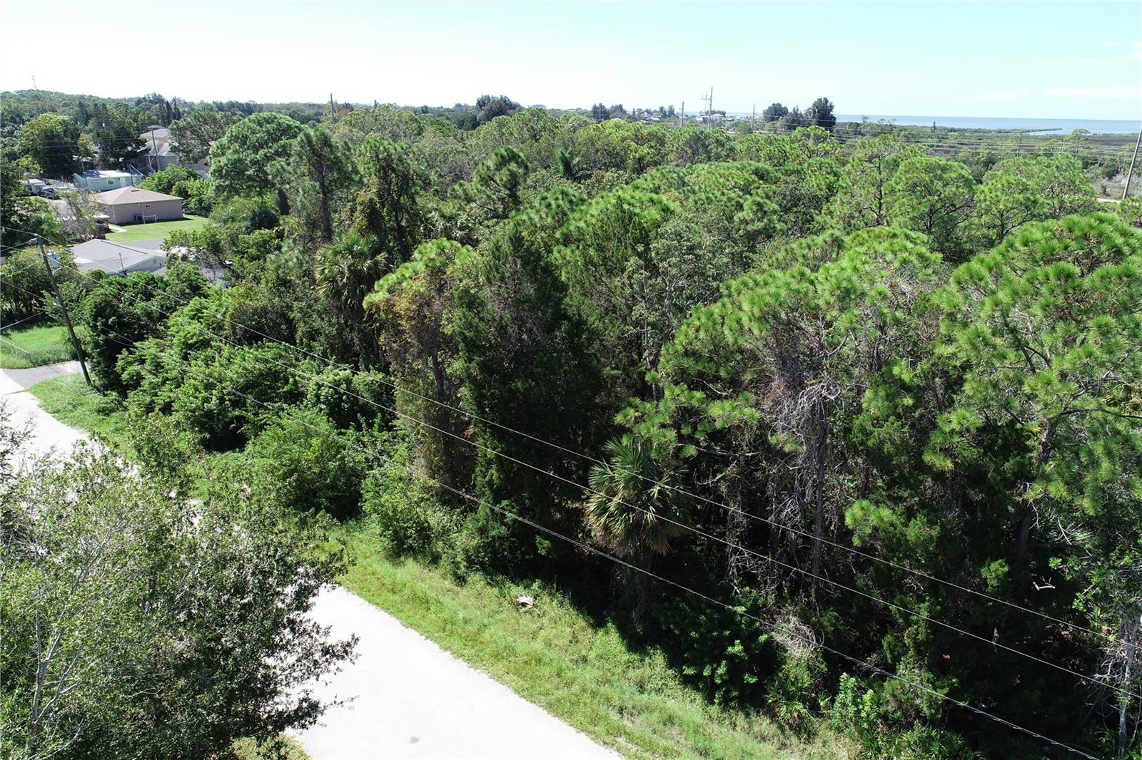 Image 18 of 20 For 34 Shark Street