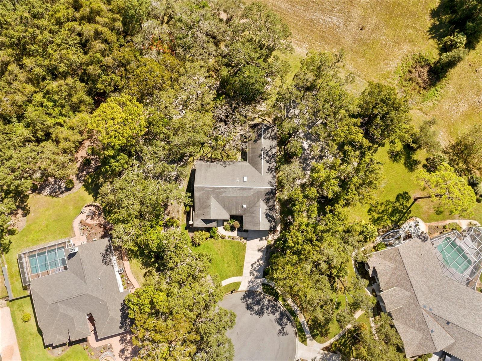 Image 43 of 52 For 18810 Majestic Oak Court