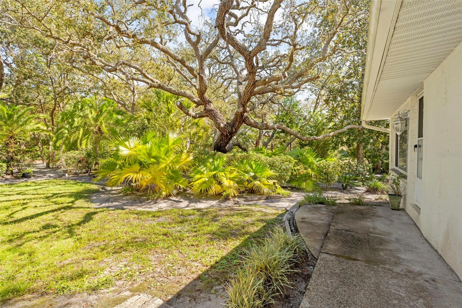 Image 49 of 52 For 18810 Majestic Oak Court