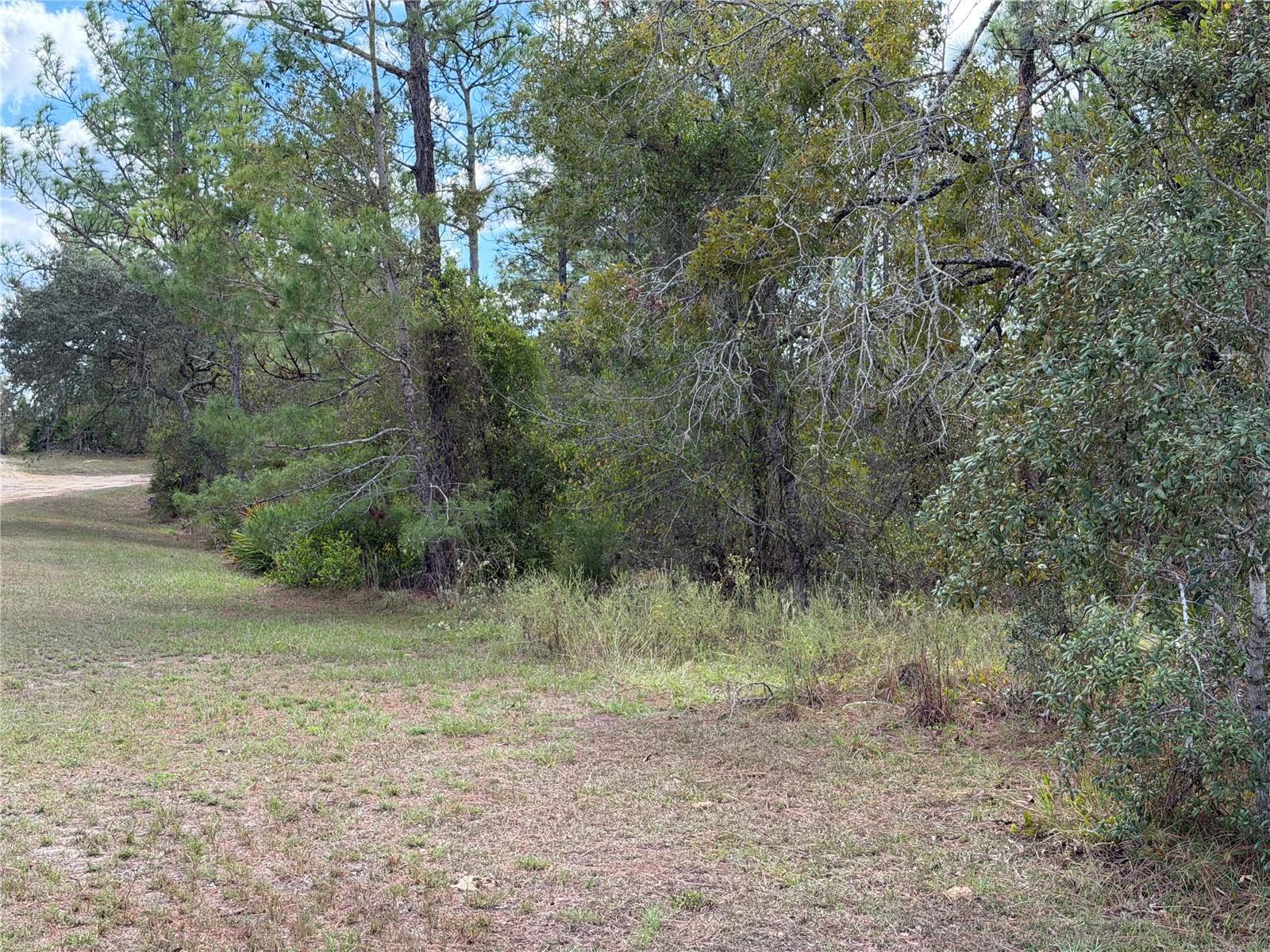 Listing photo id 0 for 8014 Zaval Avenue