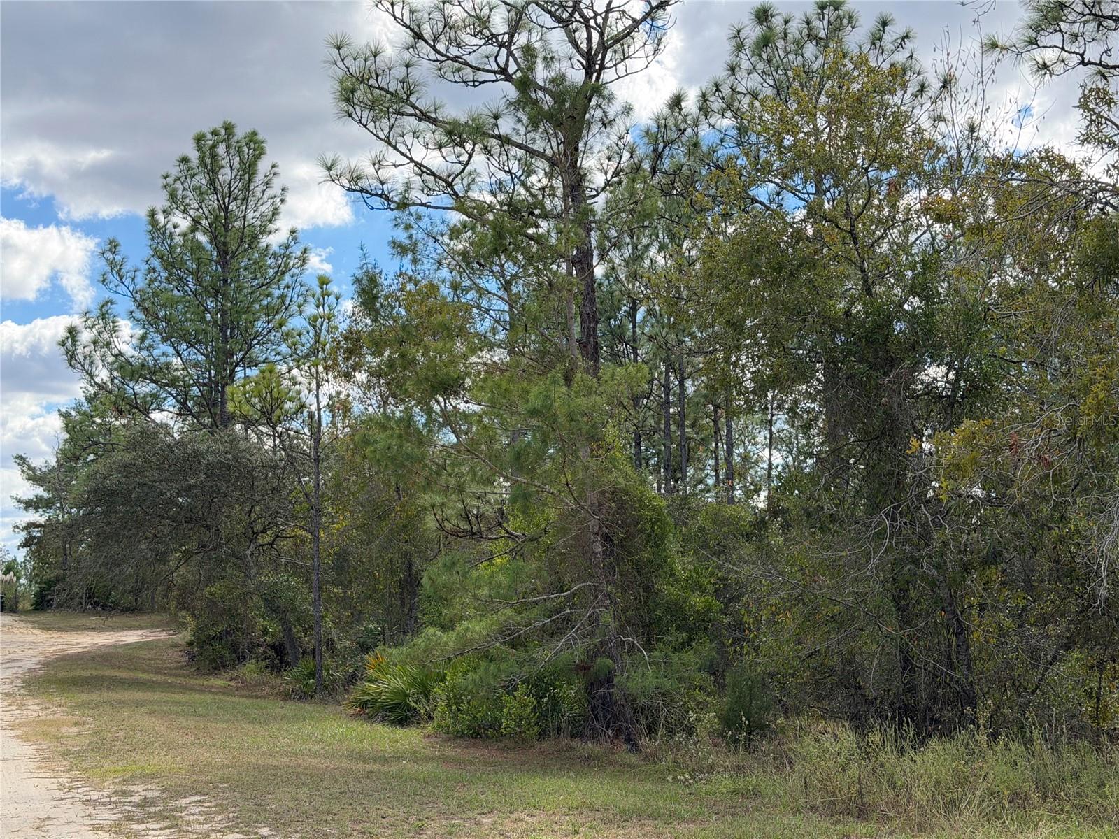 Listing photo id 1 for 8014 Zaval Avenue