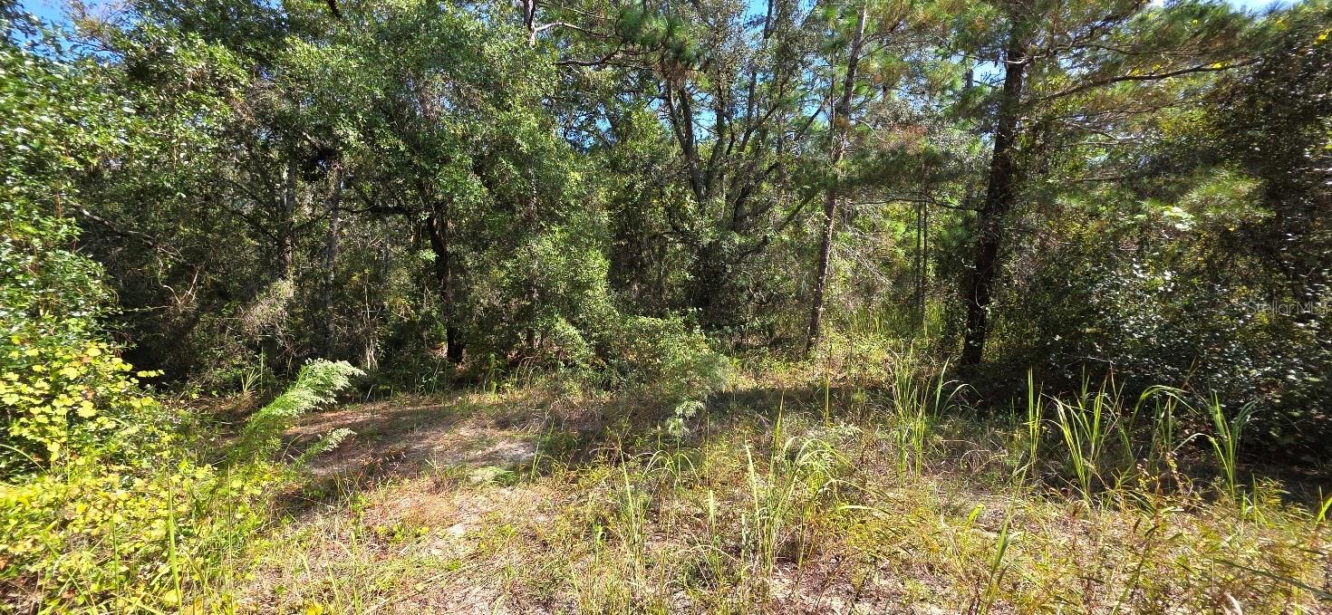 Image 4 of 4 For Us Highway 19 N