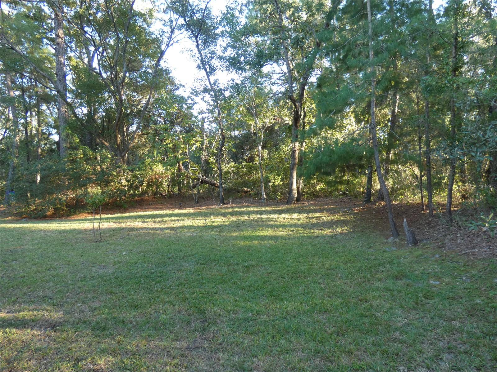 Image 4 of 4 For 5 Asparagus Court