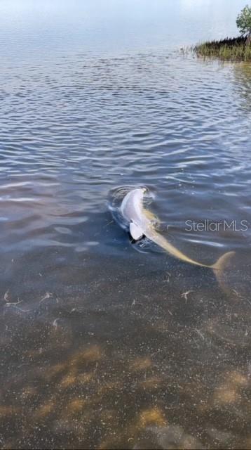 Image 75 of 75 For 6603 Driftwood Drive