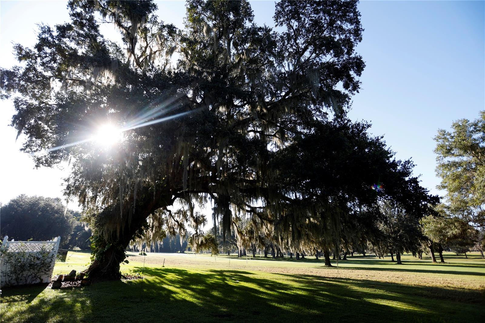 Image 59 of 60 For 23378 Eppley Drive