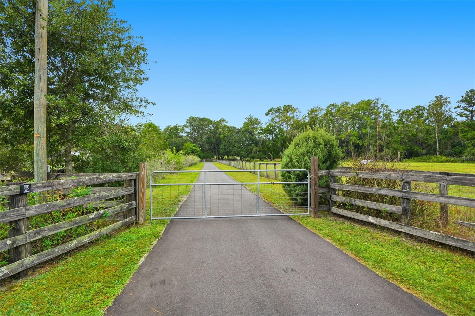 Listing photo id 43 for 1325 Culbreath Road