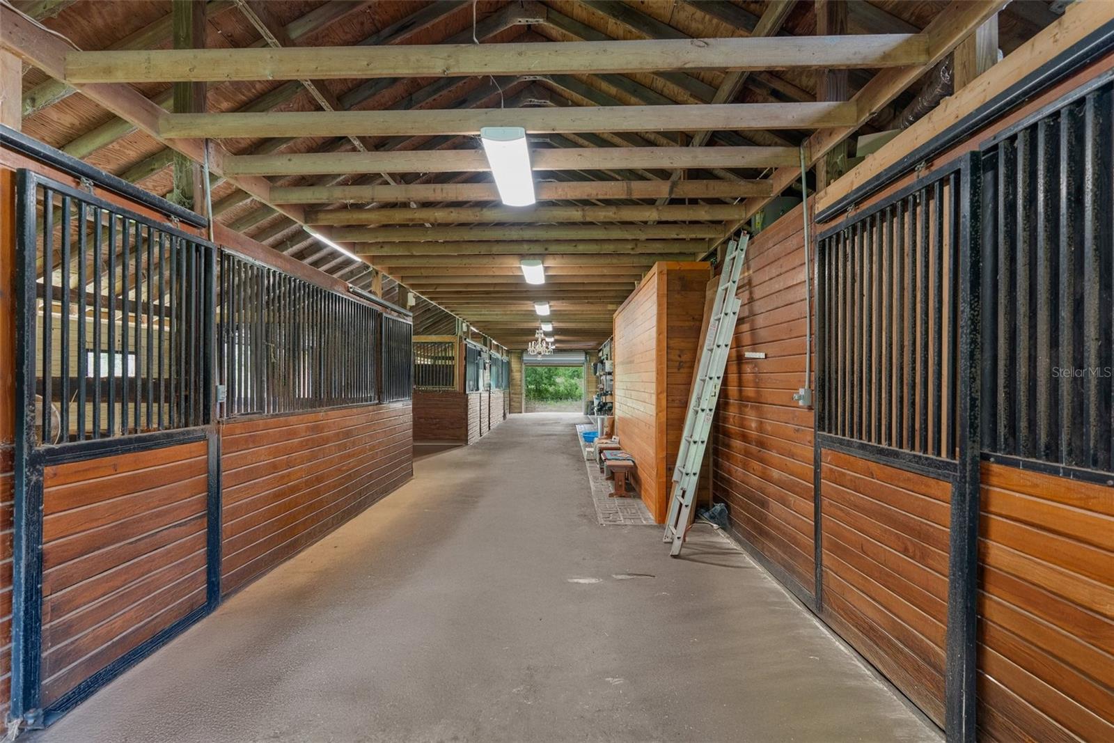 Listing photo id 56 for 1325 Culbreath Road