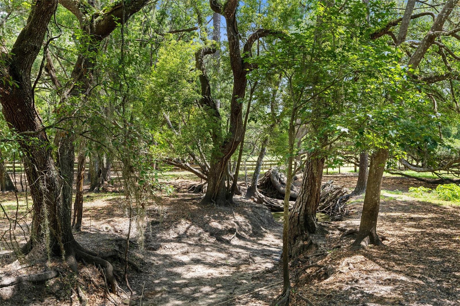 Listing photo id 82 for 1325 Culbreath Road