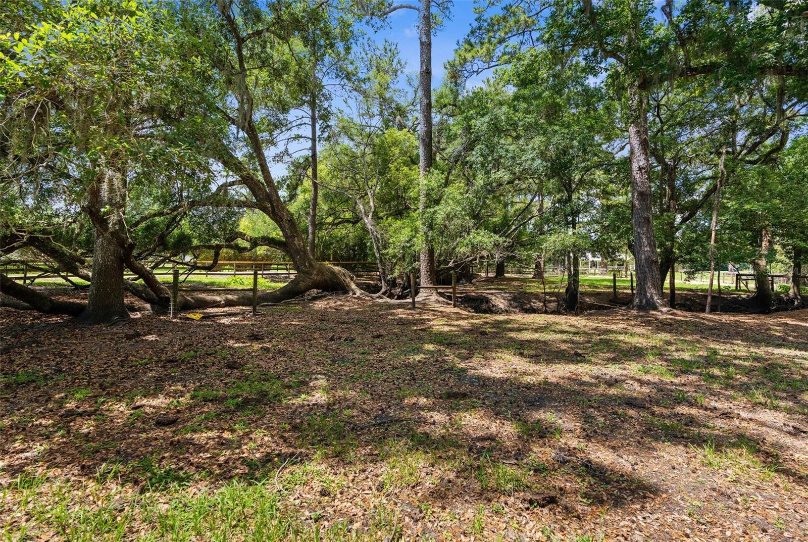 Listing photo id 83 for 1325 Culbreath Road