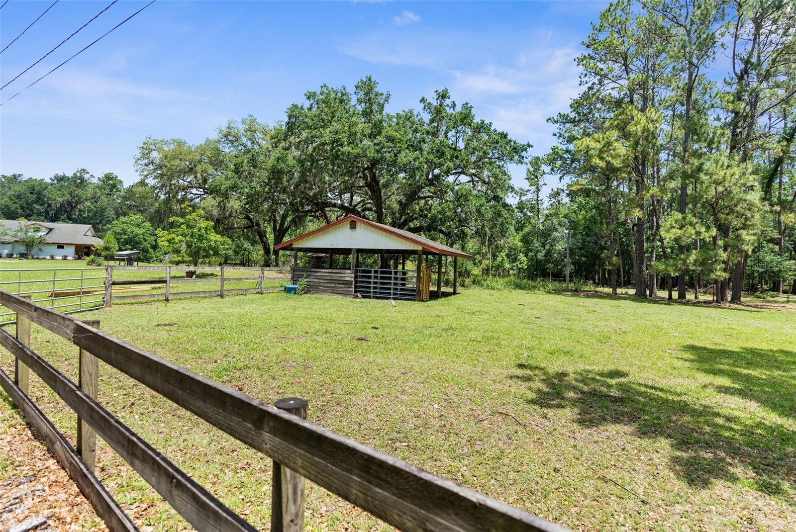 Listing photo id 85 for 1325 Culbreath Road