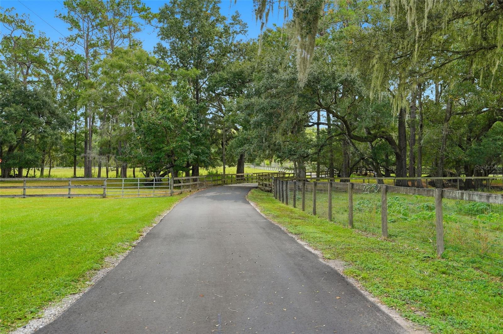 Listing photo id 91 for 1325 Culbreath Road