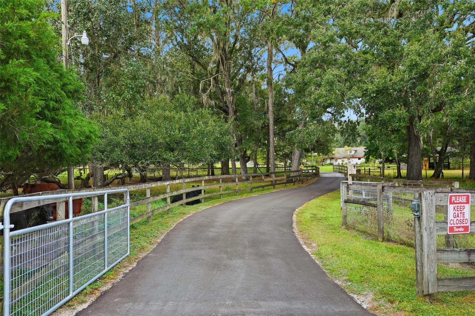 Listing photo id 93 for 1325 Culbreath Road