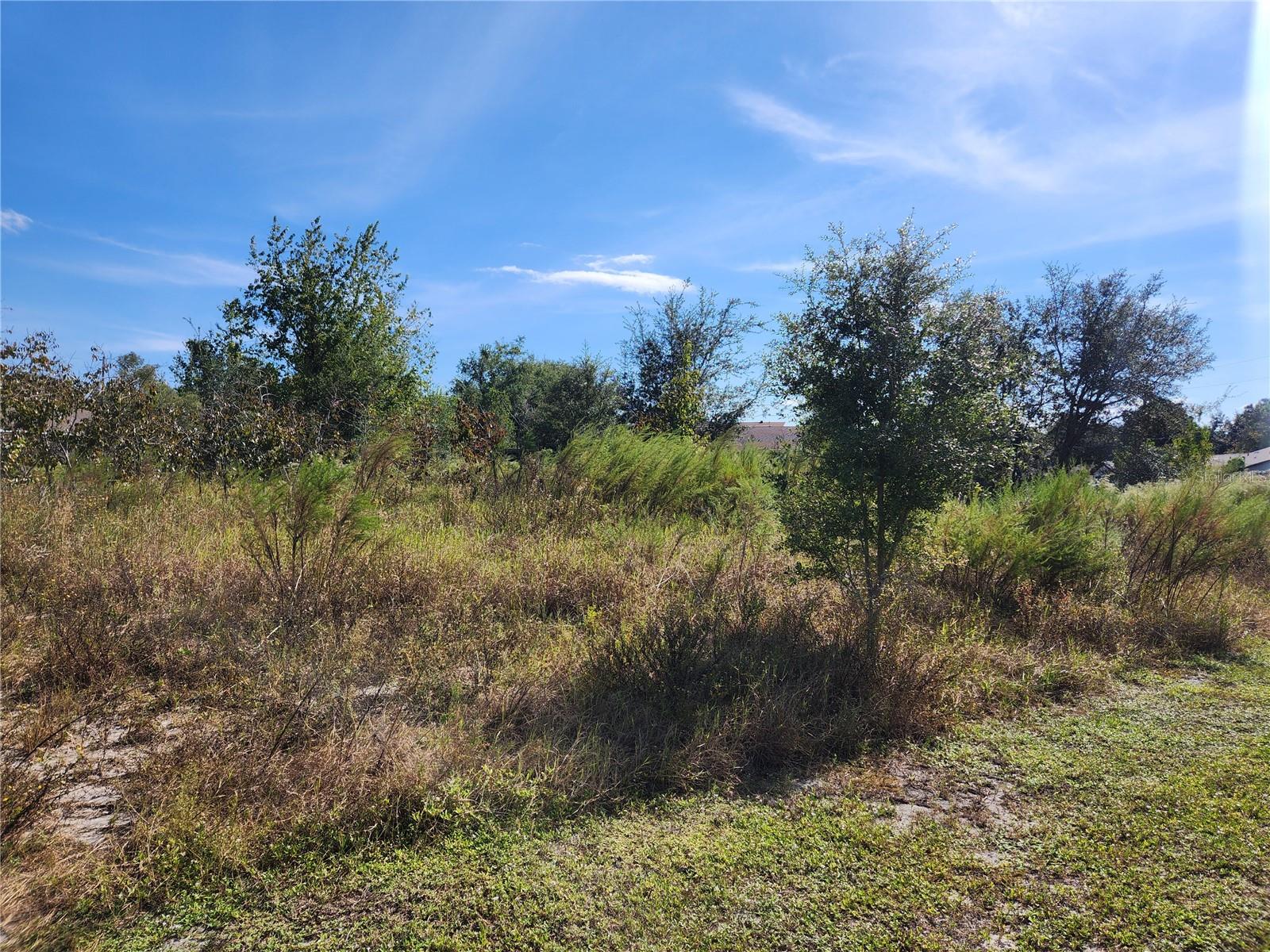 Listing photo id 0 for 7252 Sky Court Lot #1