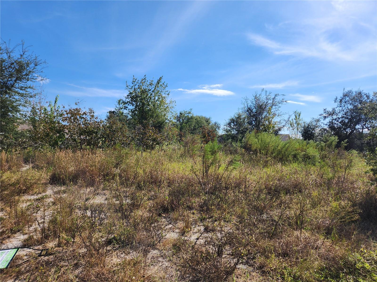Listing photo id 1 for 7252 Sky Court Lot #1