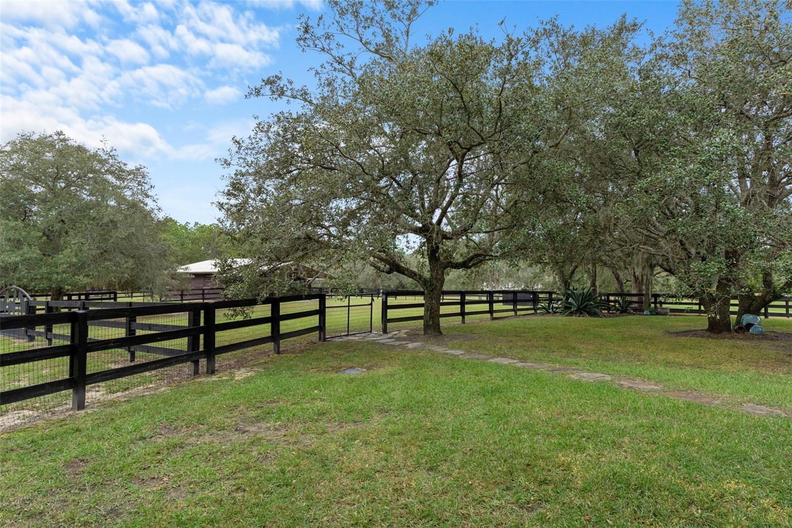 Listing photo id 36 for 4202 Pony Drive