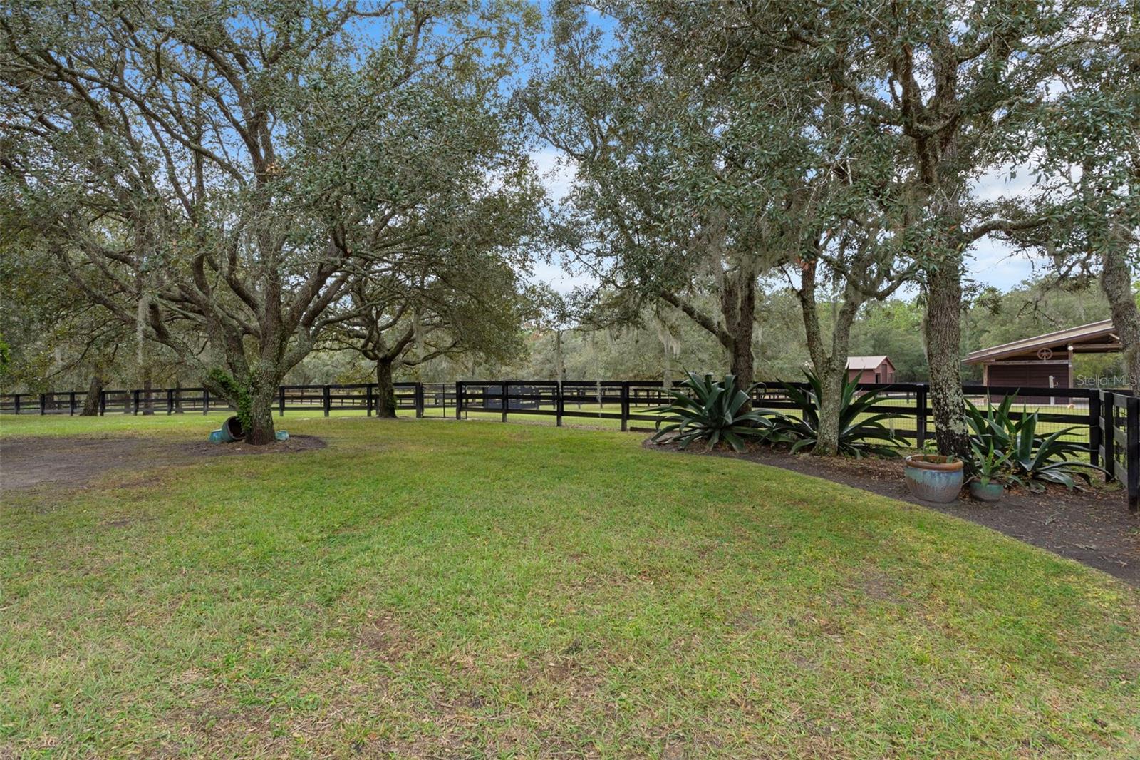 Listing photo id 37 for 4202 Pony Drive