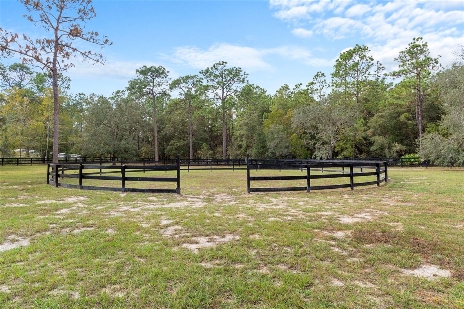 Listing photo id 54 for 4202 Pony Drive