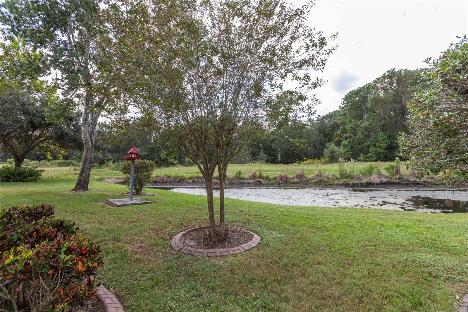 Image 41 of 49 For 11915 Tee Time Circle