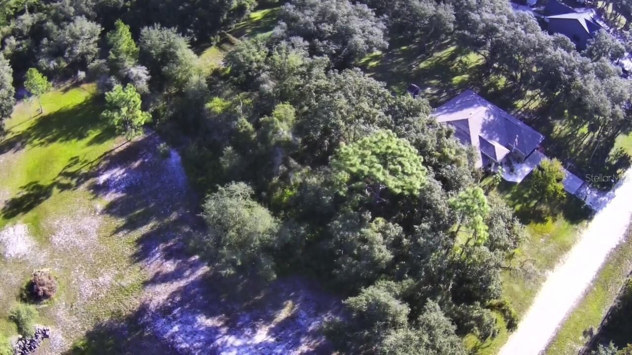 Image 7 of 7 For 34429 Manuel Street