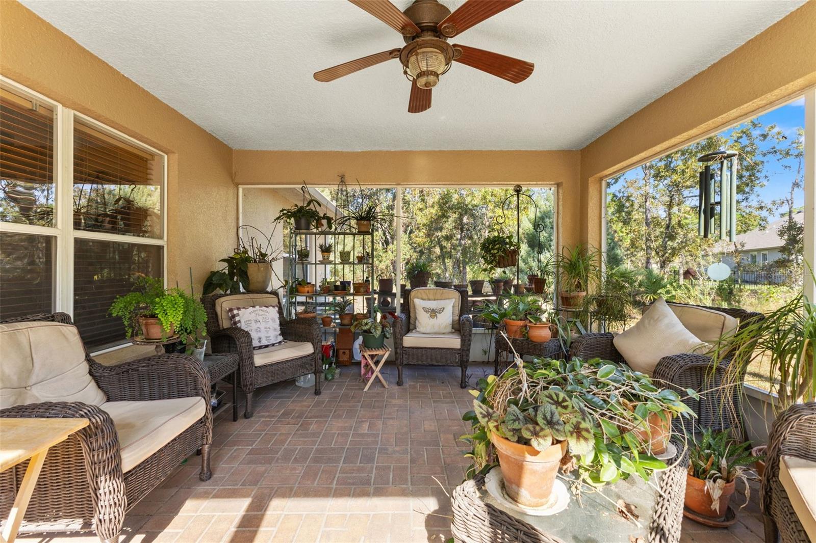 Image 26 of 58 For 5 Boxleaf  