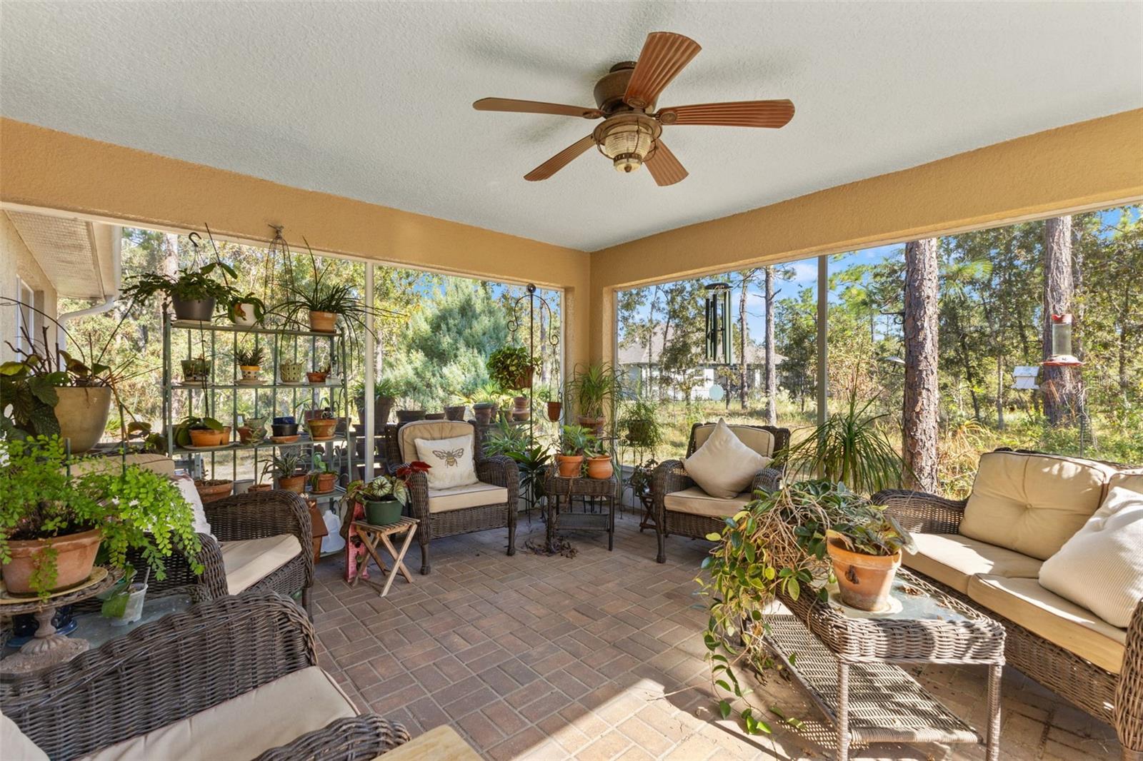 Image 39 of 58 For 5 Boxleaf  