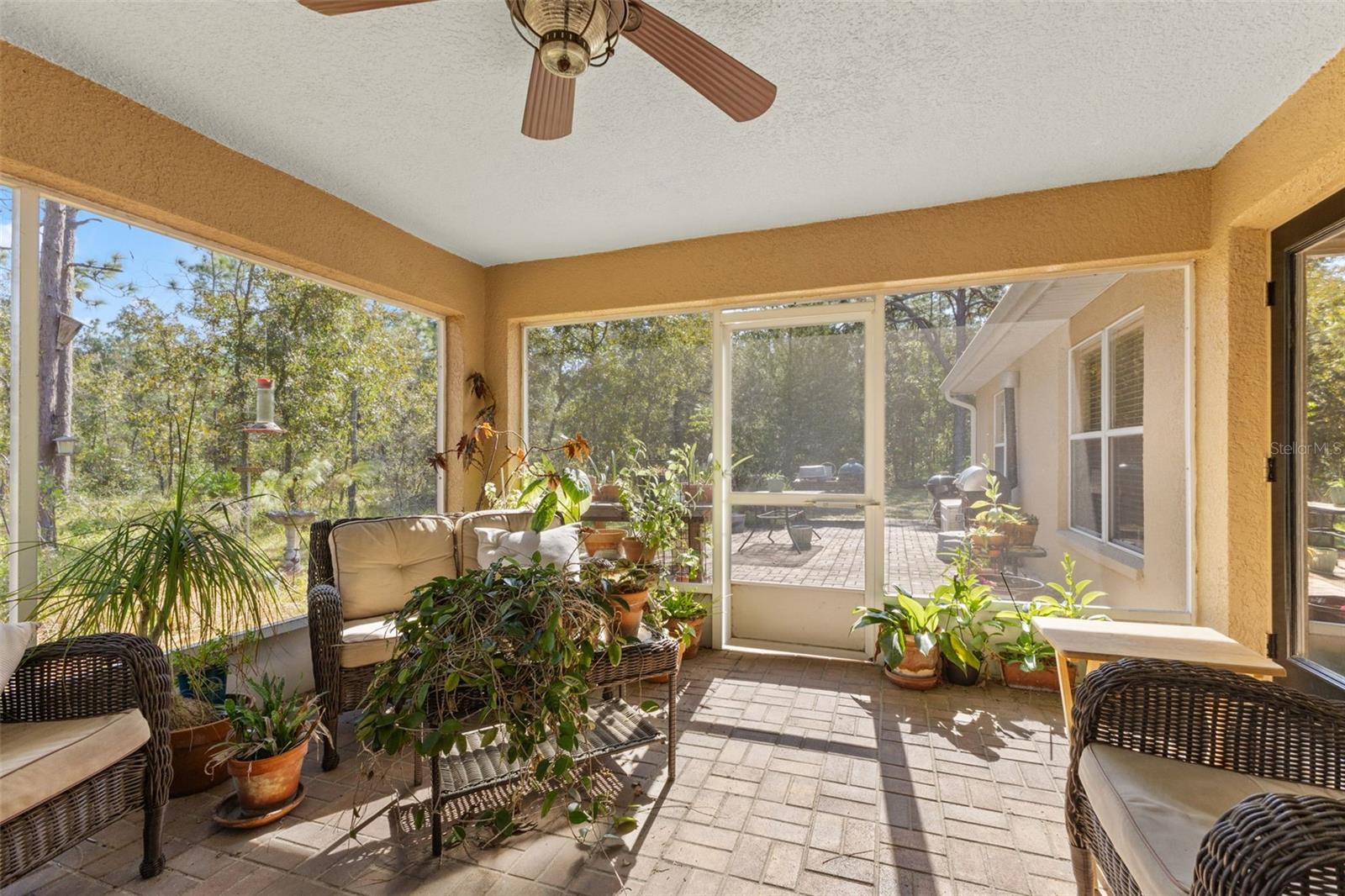 Image 42 of 58 For 5 Boxleaf  