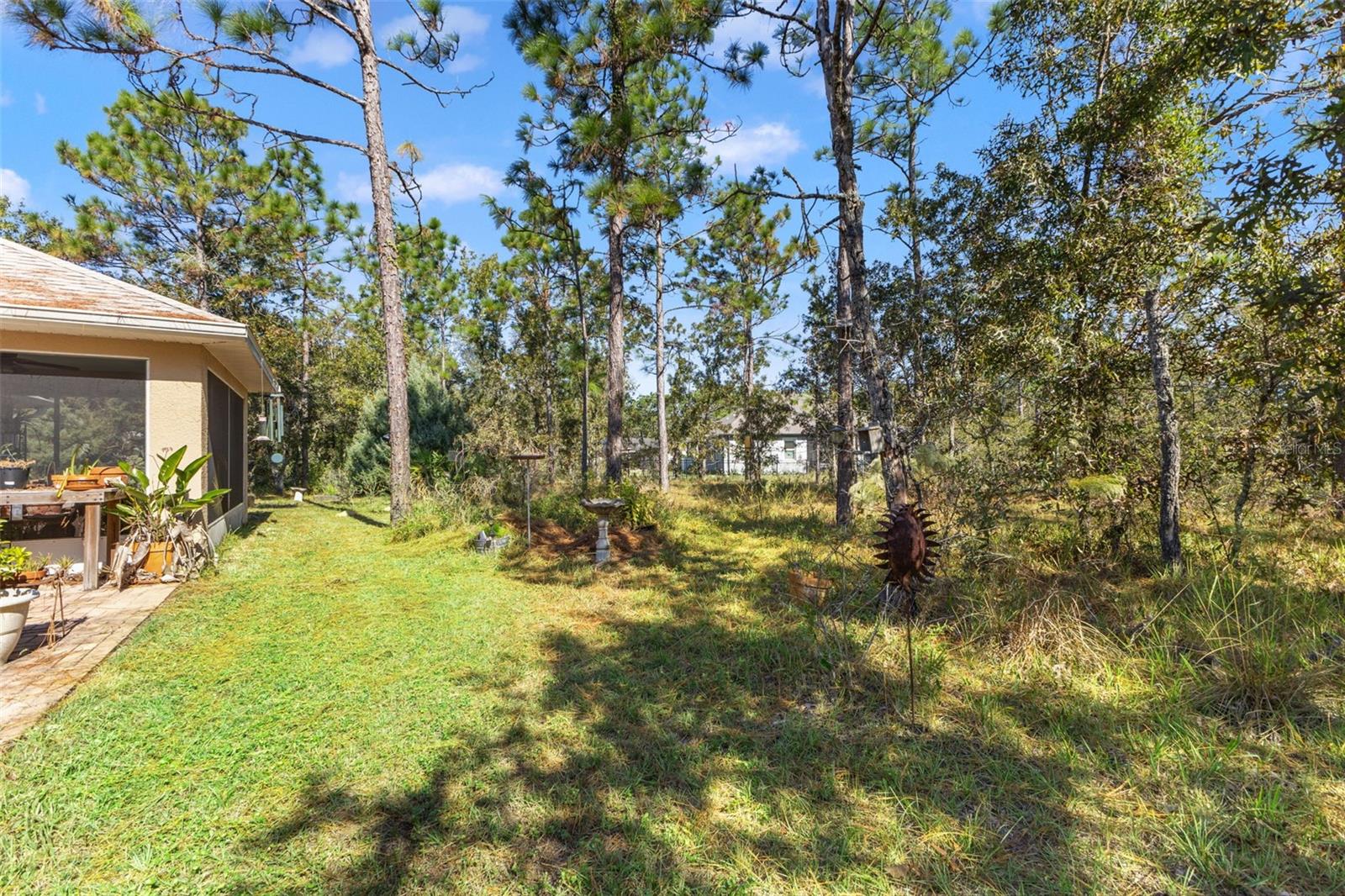 Image 45 of 58 For 5 Boxleaf  