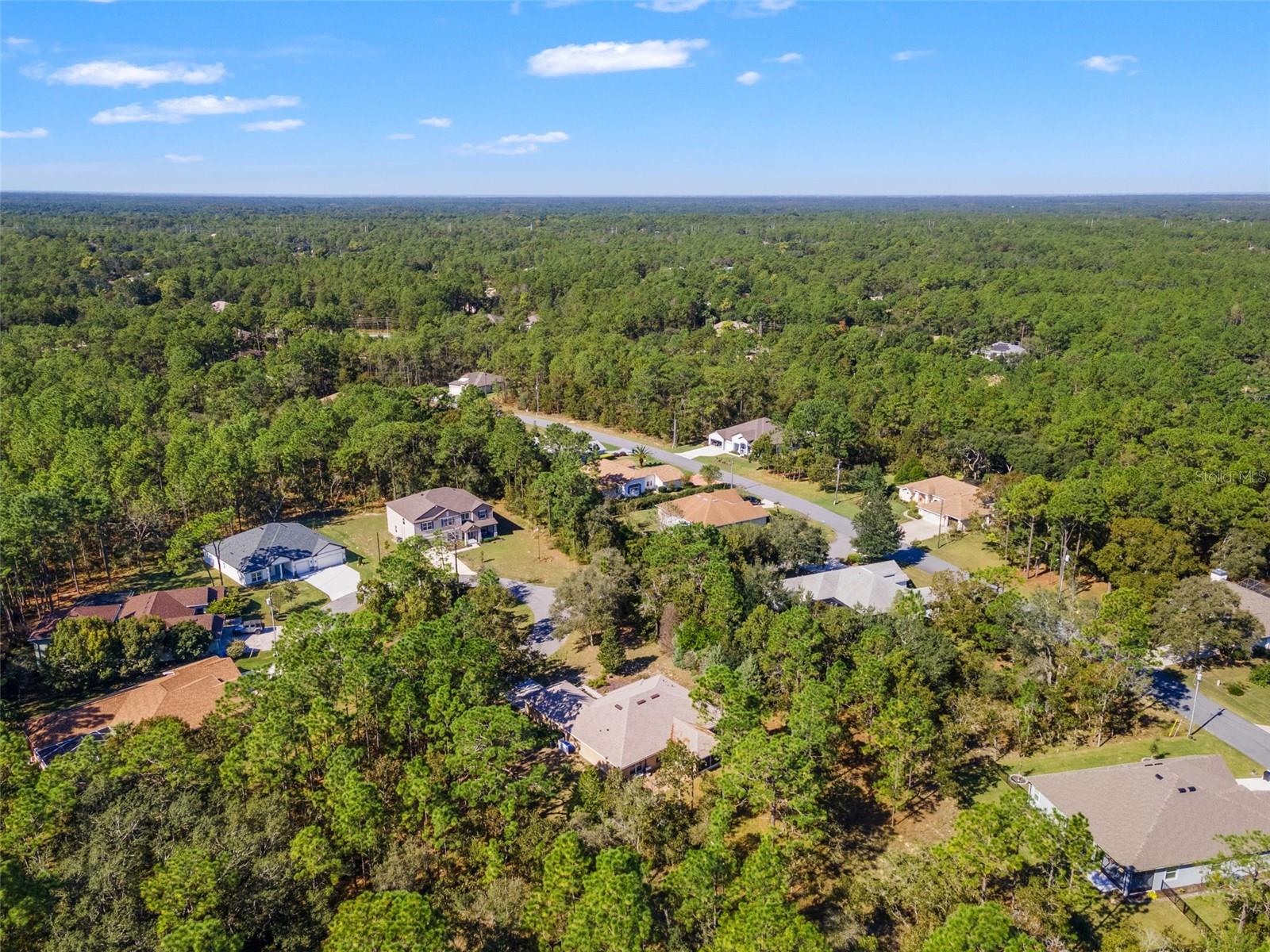 Image 50 of 58 For 5 Boxleaf  