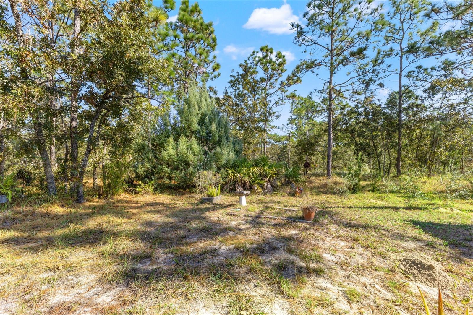 Image 54 of 58 For 5 Boxleaf  