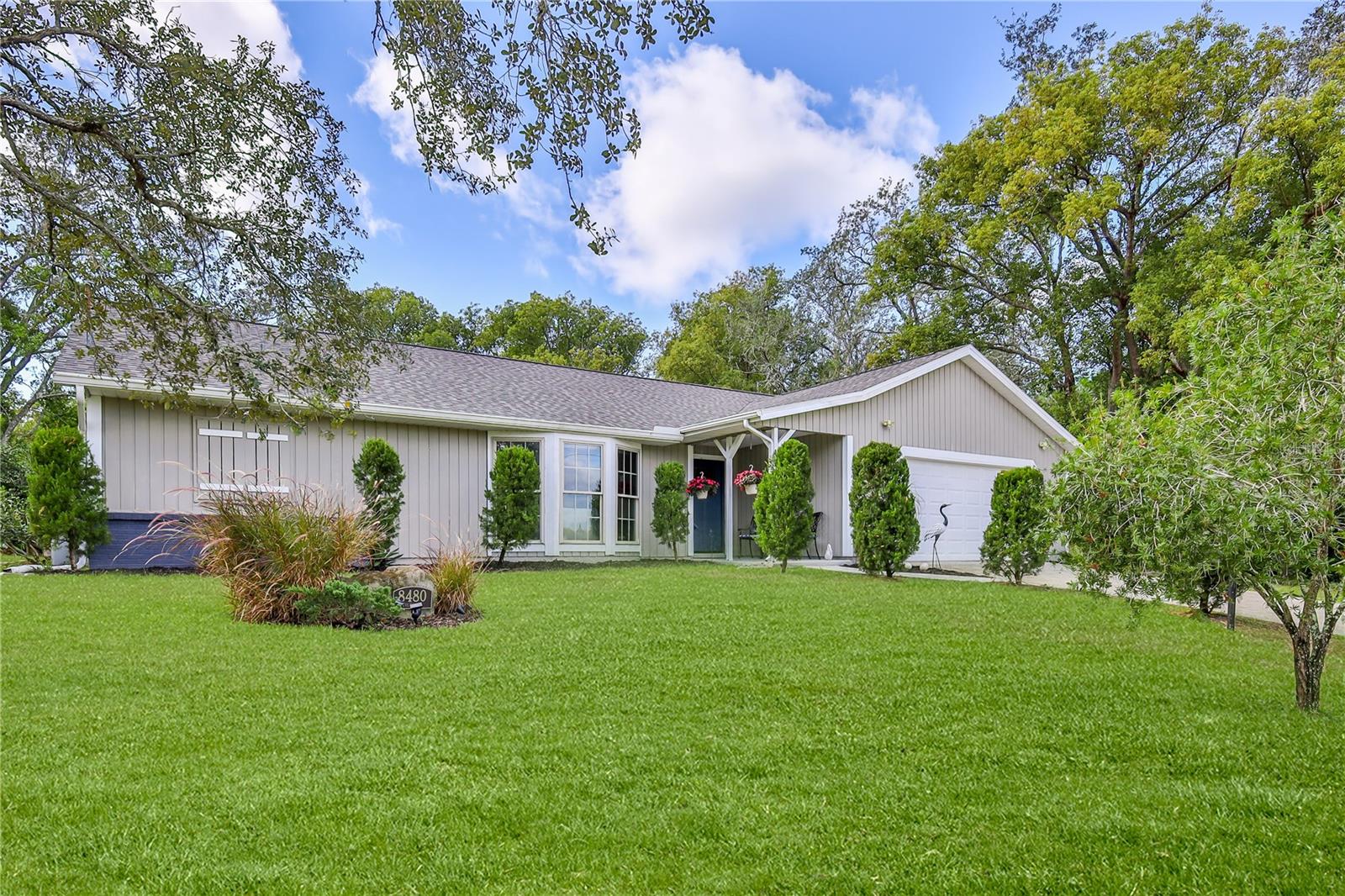 Image 5 of 72 For 8480 Colma Street