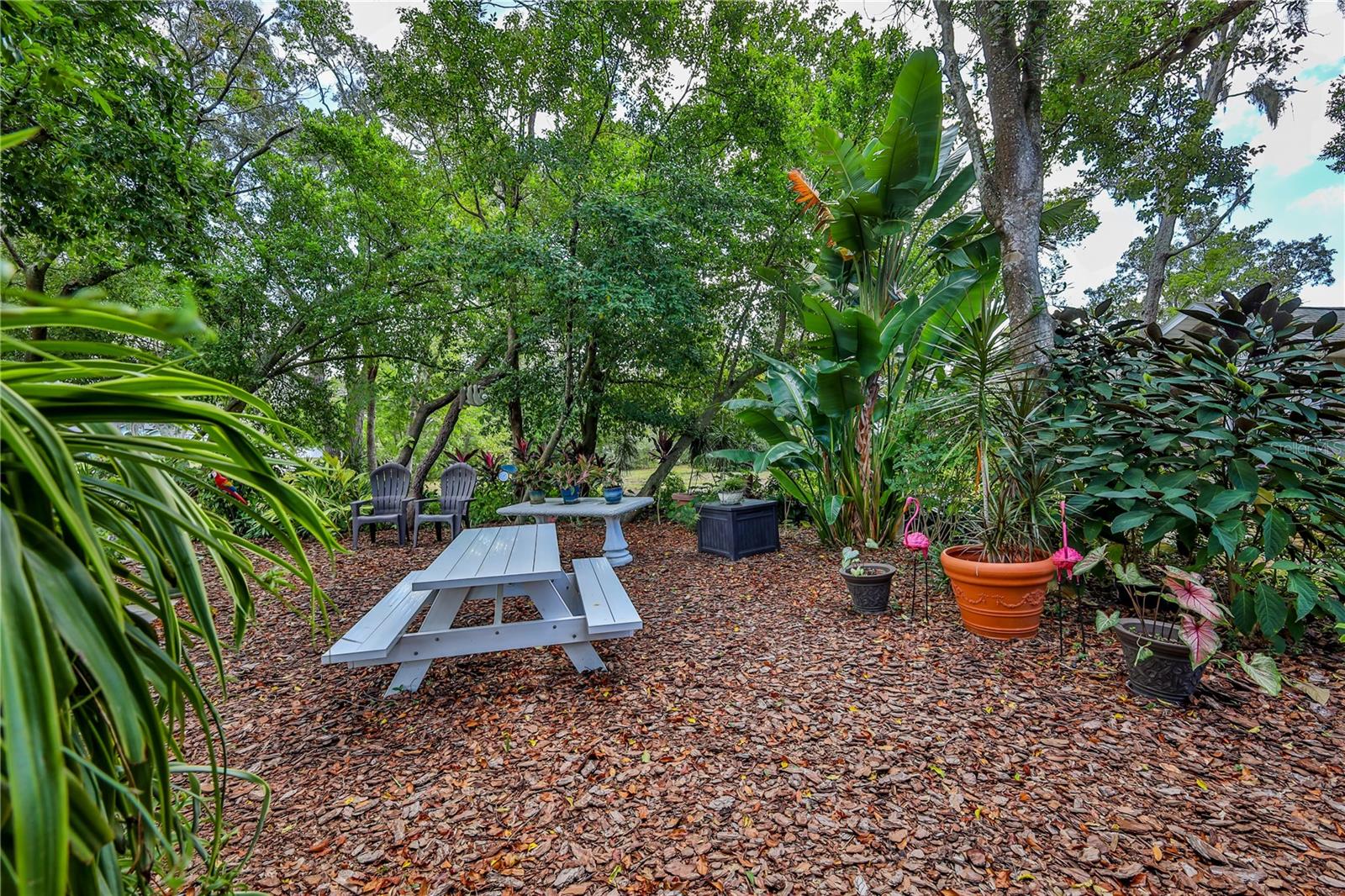 Image 65 of 72 For 8480 Colma Street