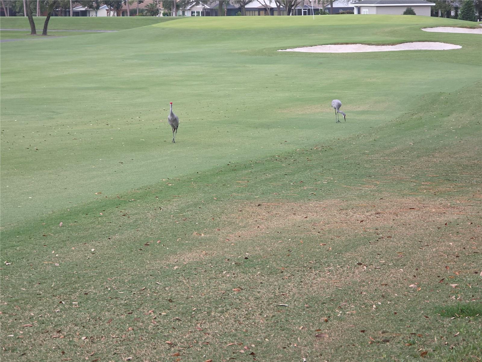 Image 31 of 46 For 6345 Pine Meadows Drive