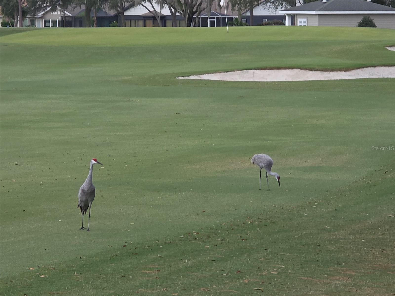 Image 32 of 46 For 6345 Pine Meadows Drive