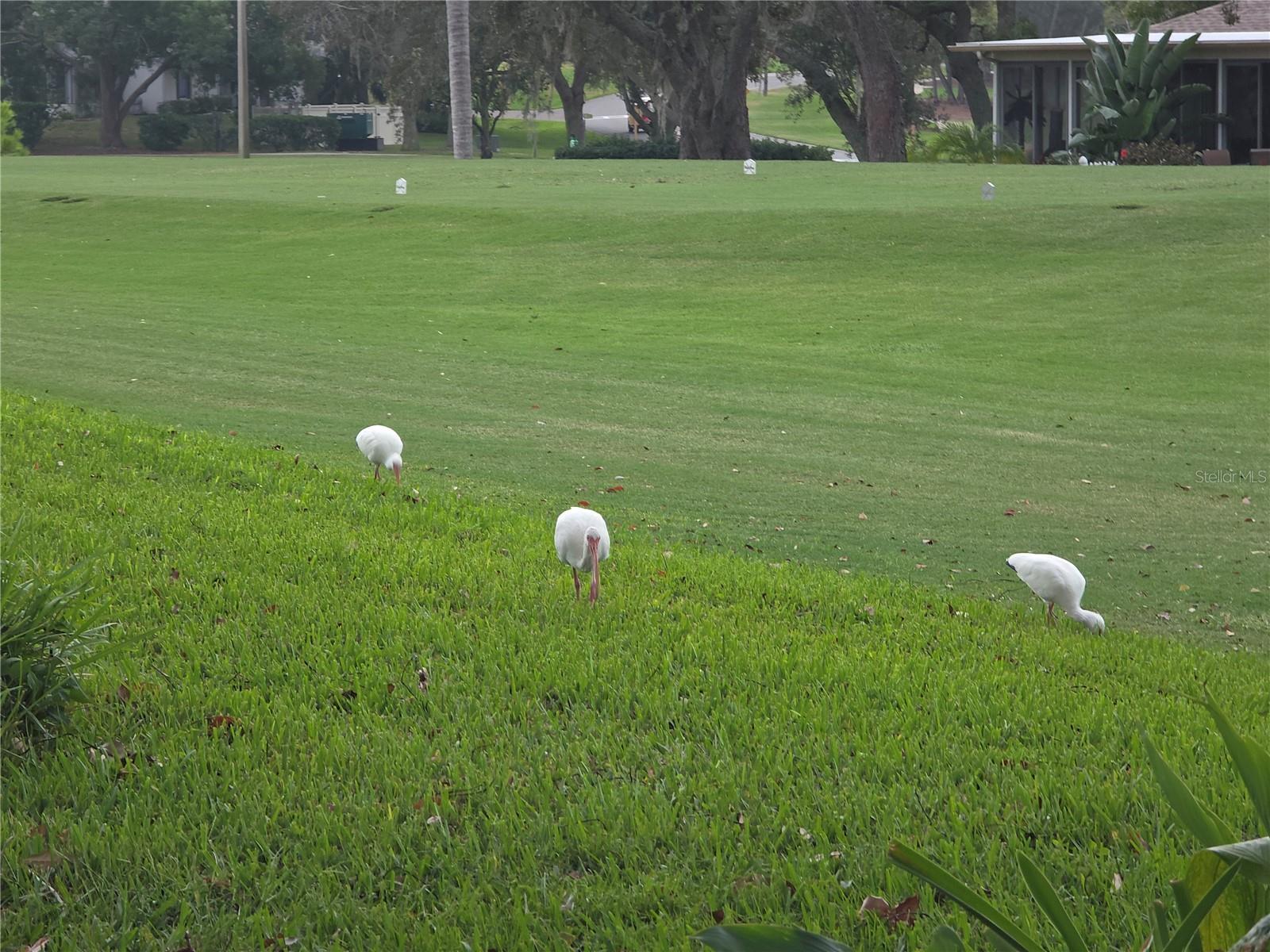 Image 33 of 46 For 6345 Pine Meadows Drive