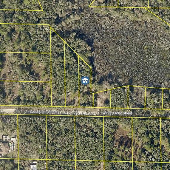 Details for Lot 37 Soap Stone Street, WEBSTER, FL 33597