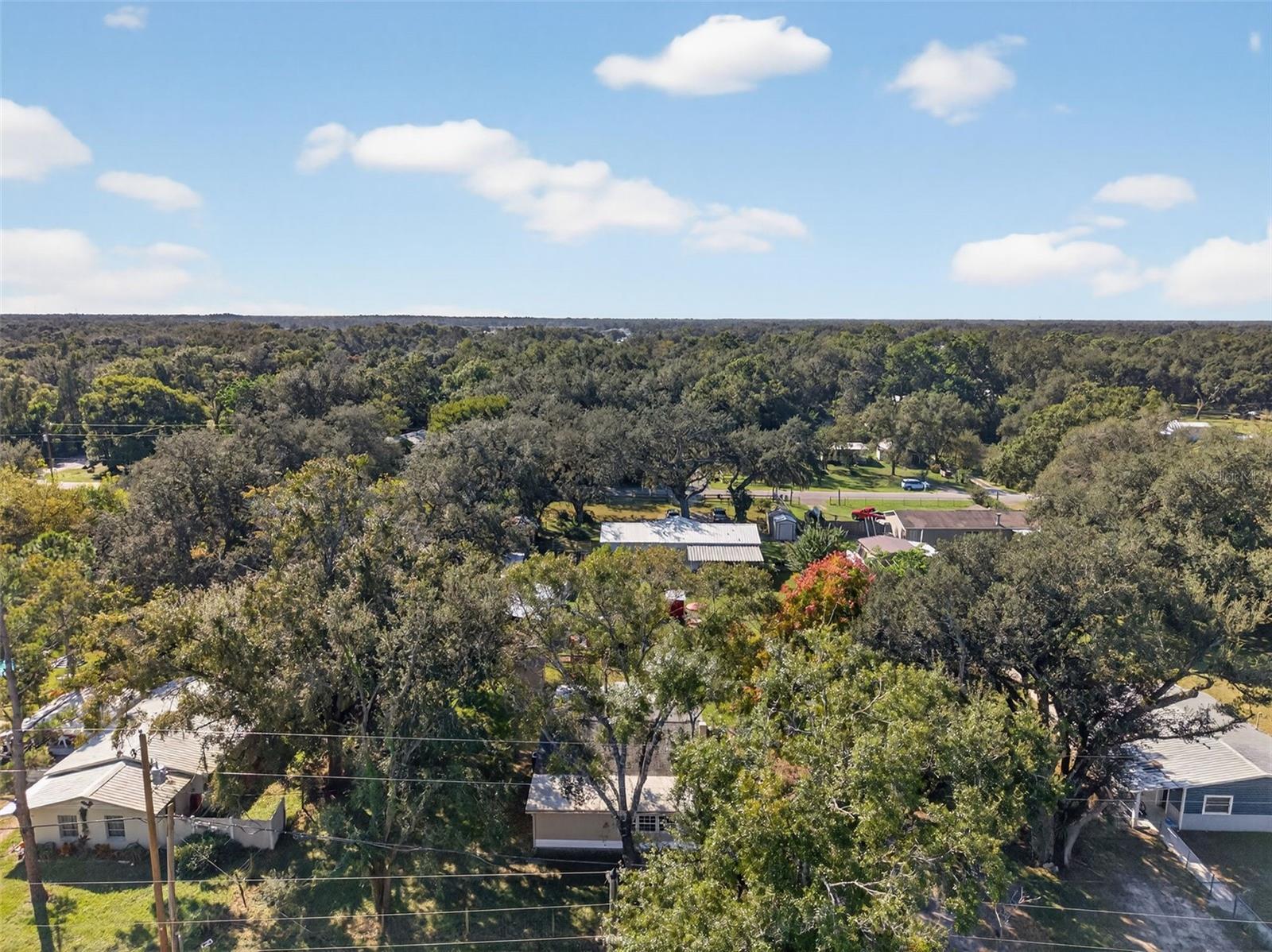 Image 55 of 66 For 37916 Tucker Road