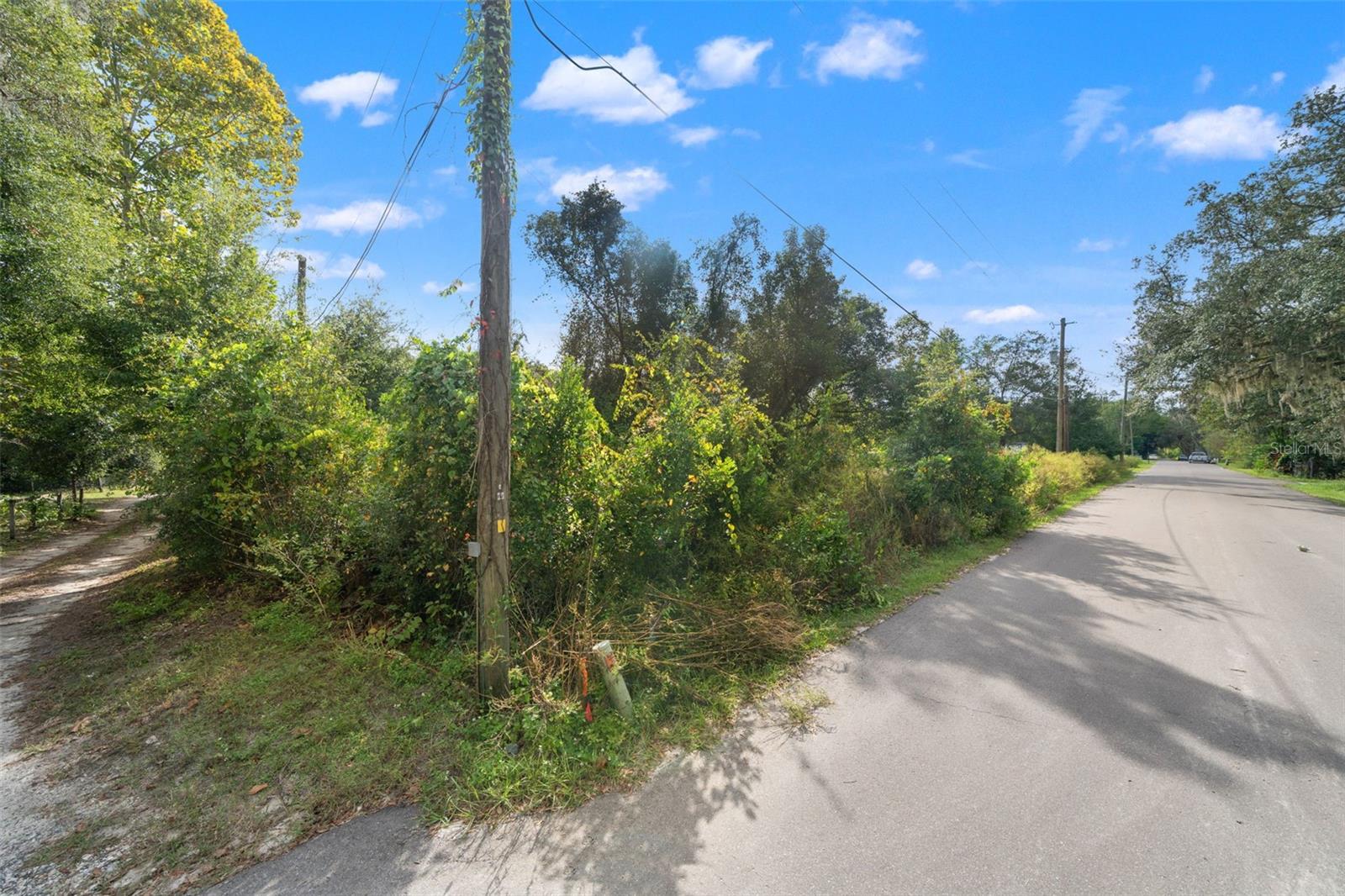 Image 16 of 19 For 4386 Cimarron Way