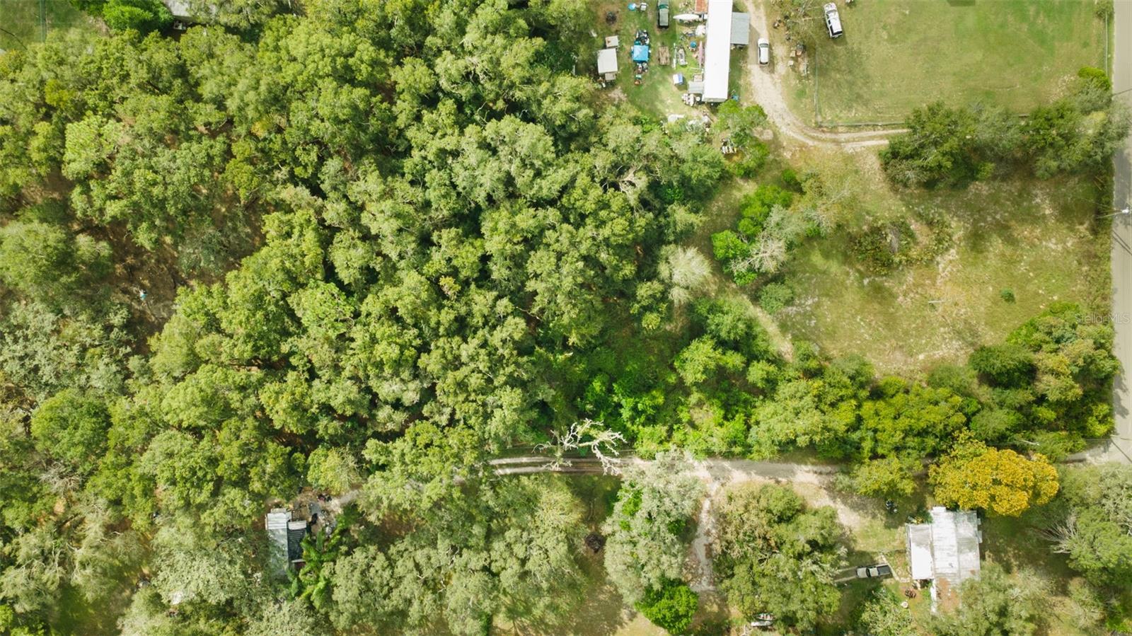 Image 9 of 19 For 4386 Cimarron Way