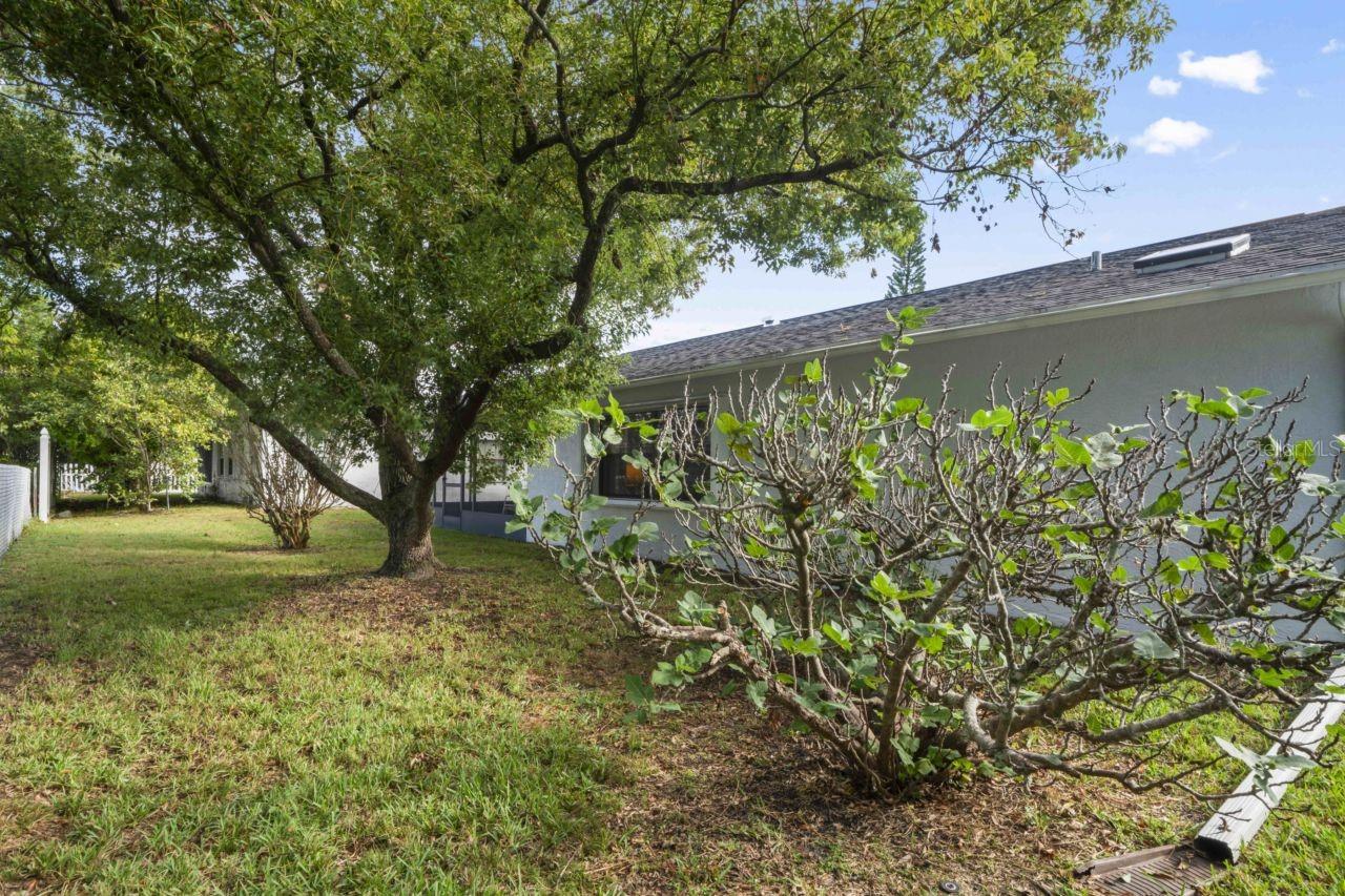 Image 64 of 64 For 9115 Glen Moor Lane