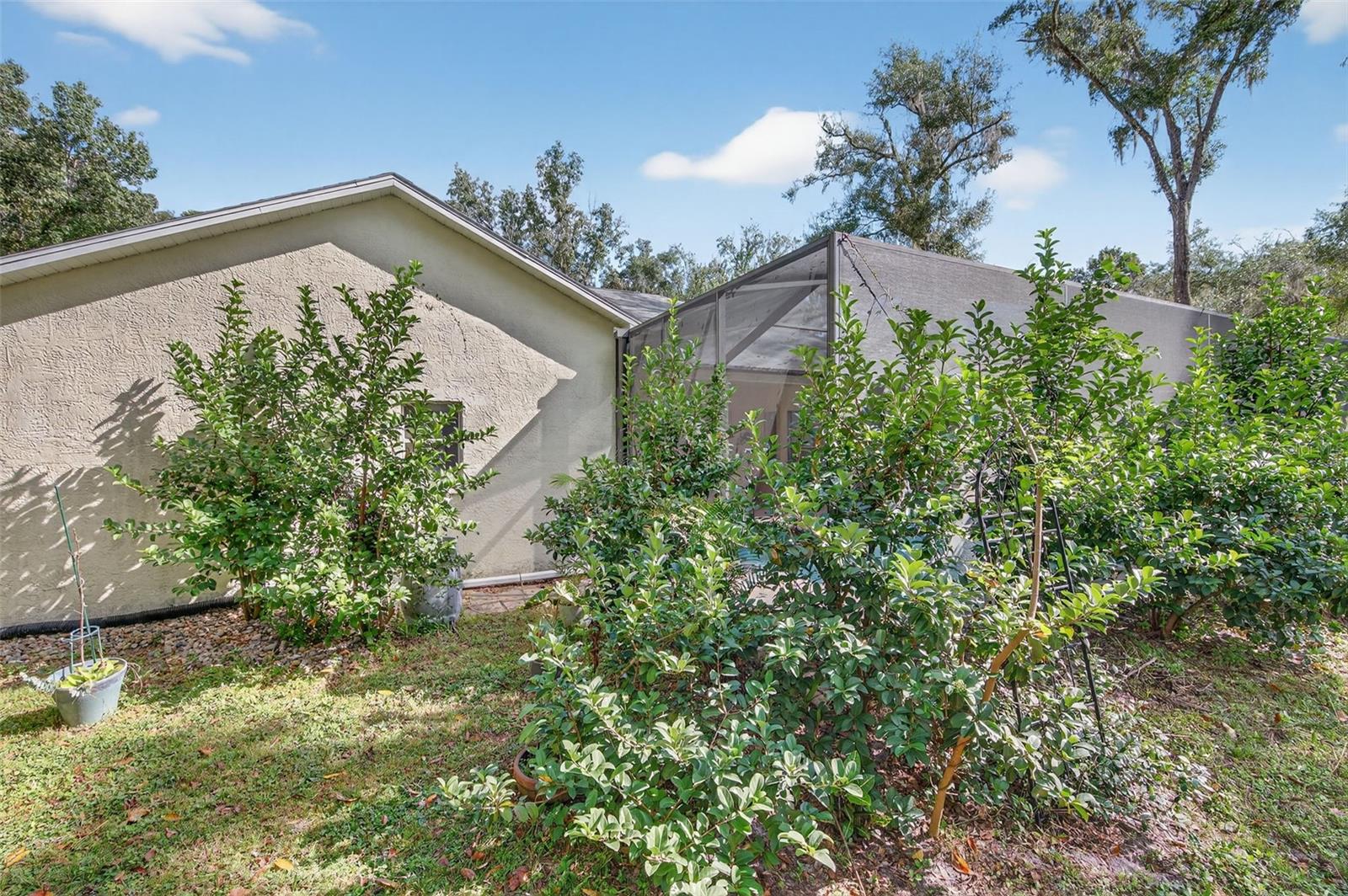 Image 69 of 90 For 11031 Nottingham Forest Drive