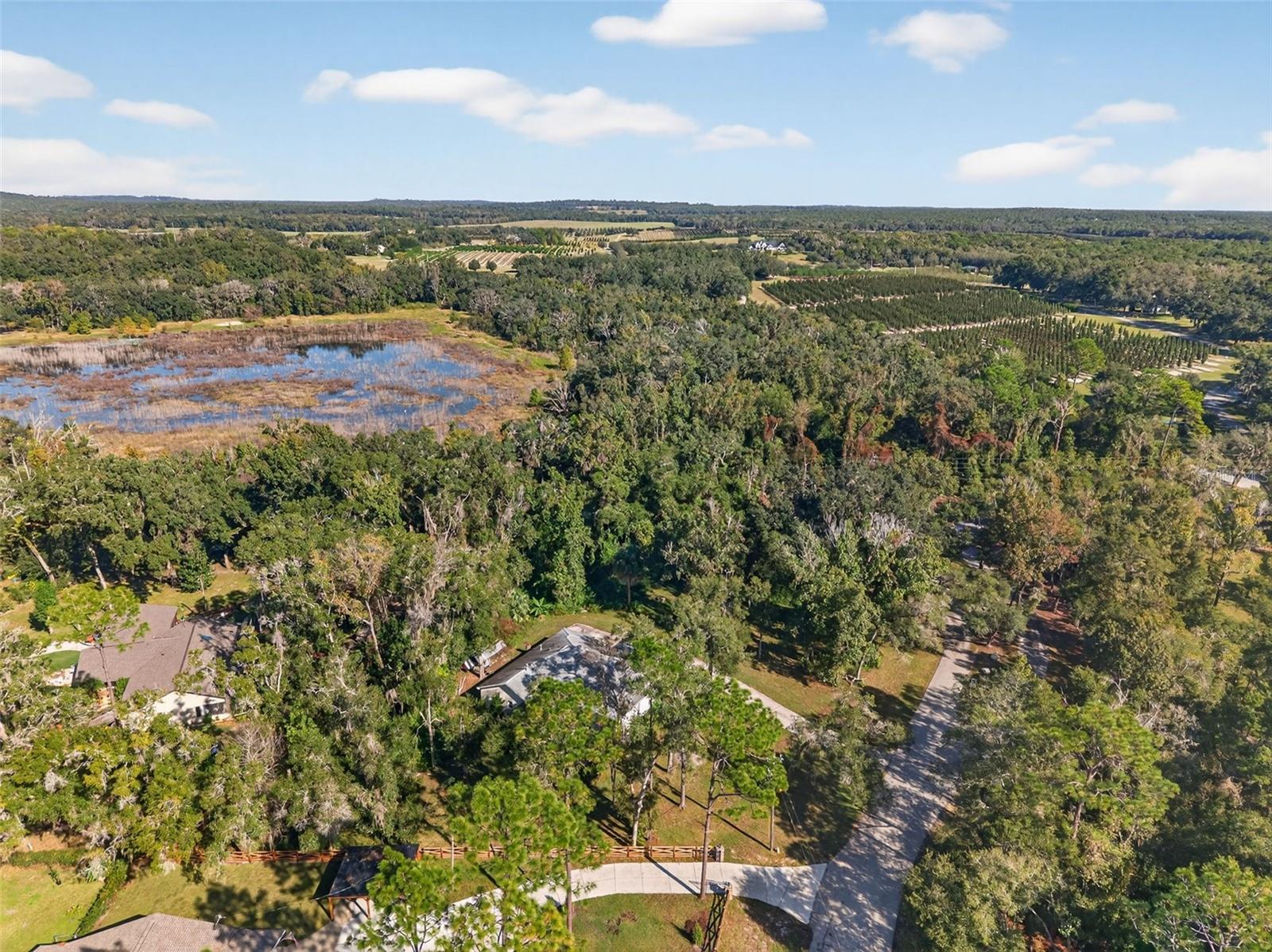 Image 86 of 90 For 11031 Nottingham Forest Drive