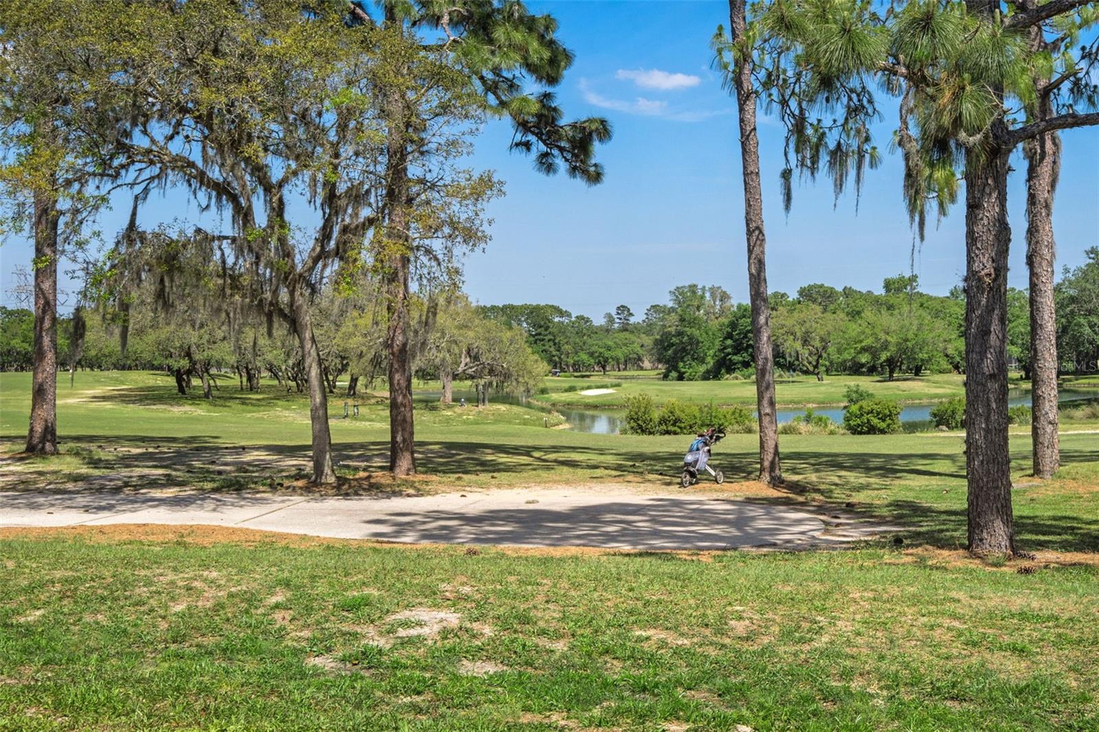 Image 54 of 56 For 72 Chinaberry Circle