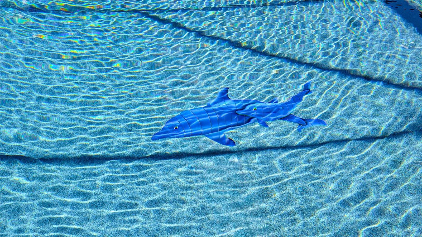 Image 31 of 44 For 16475 Kids Ave