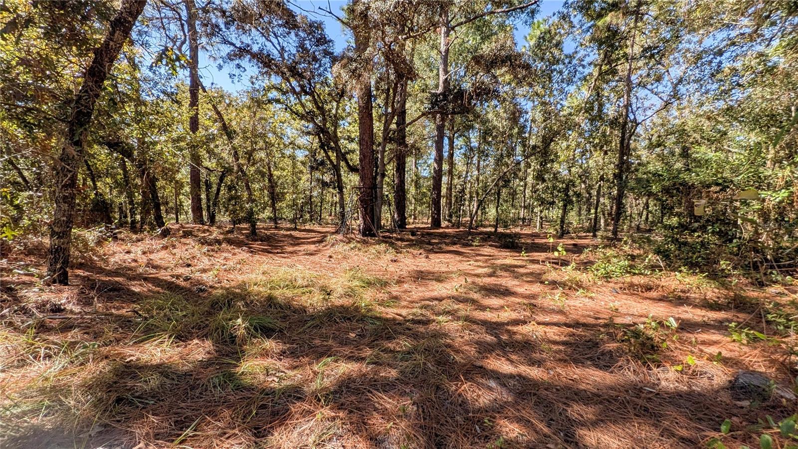 Image 37 of 44 For 16475 Kids Ave