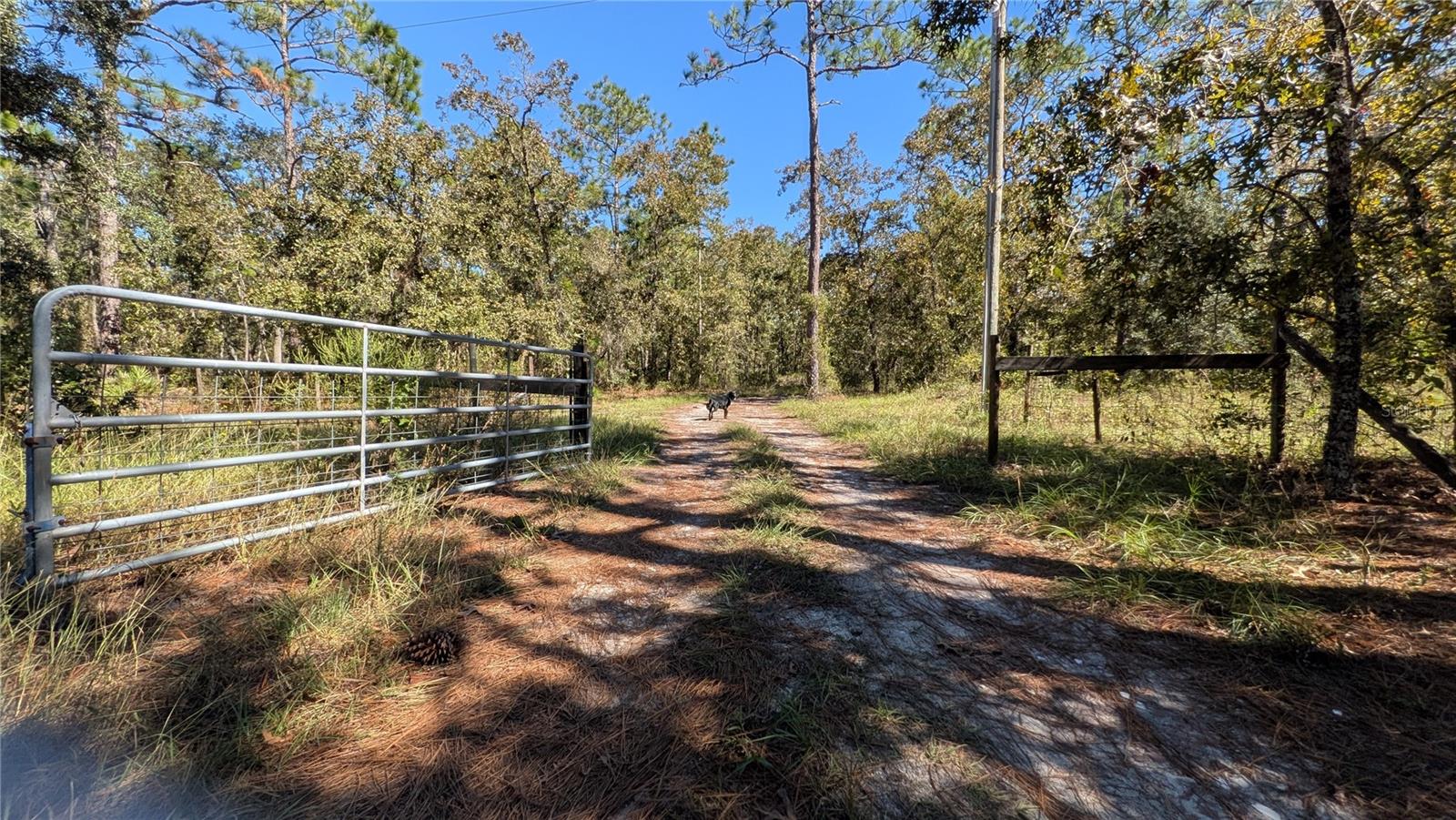 Image 43 of 44 For 16475 Kids Ave