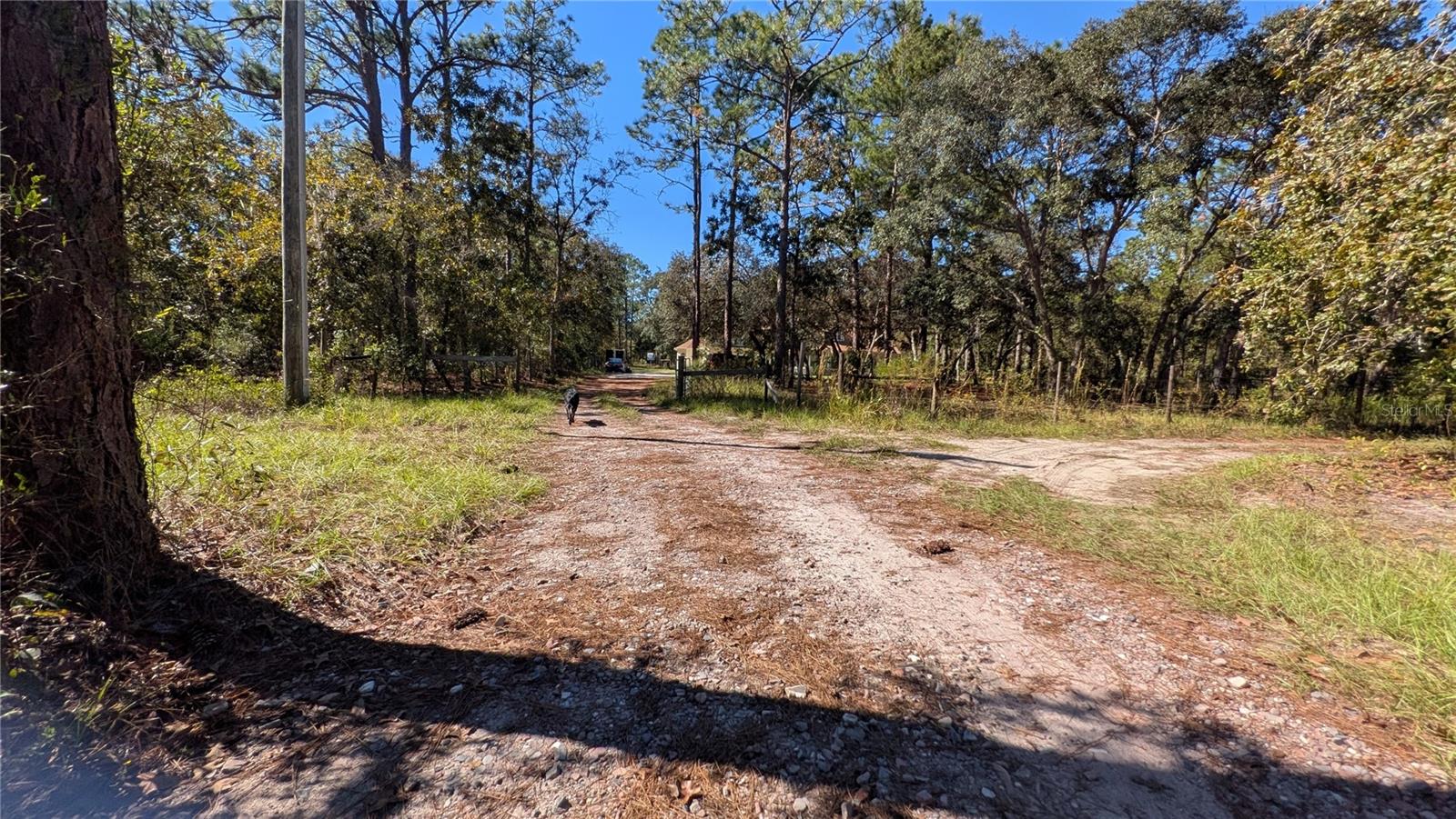 Image 44 of 44 For 16475 Kids Ave