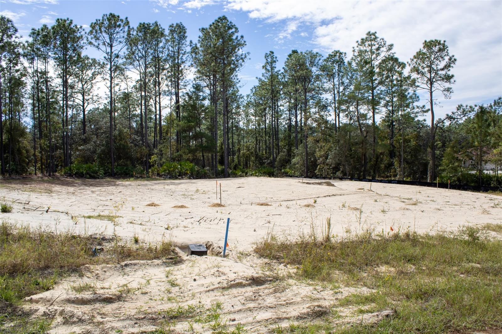 Image 4 of 7 For 6412 El Dorado Lane