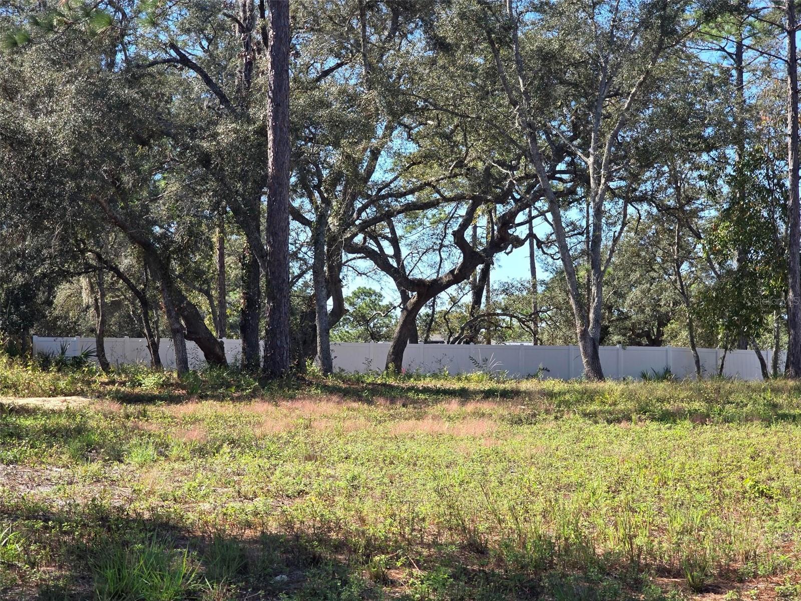 Image 4 of 10 For 12437 Harris Hawk Road