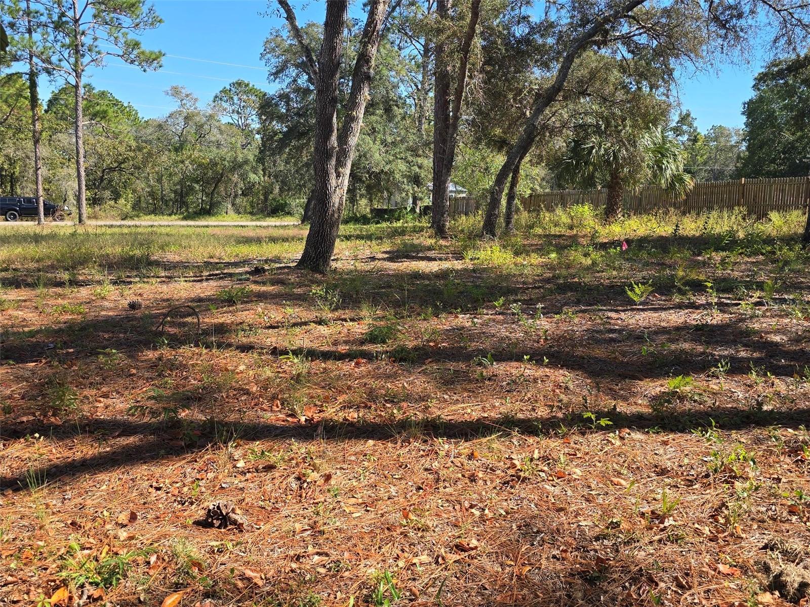 Image 5 of 10 For 12437 Harris Hawk Road